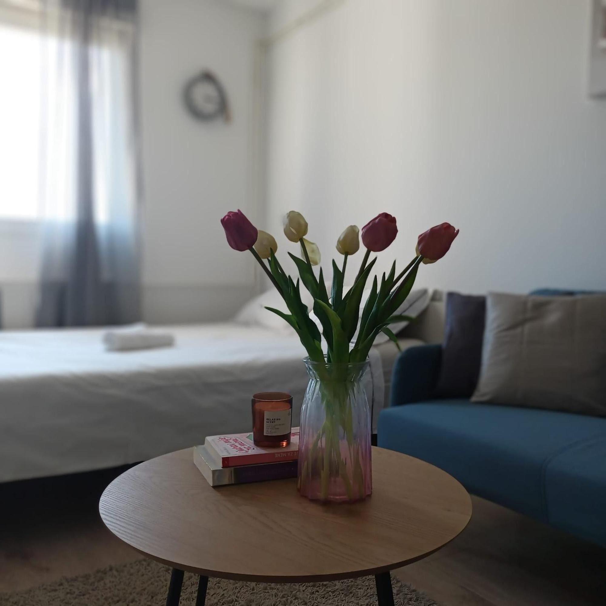 Modern Studio Near City Center Zagreb Extérieur photo